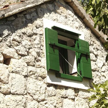 Primorac بوداكا